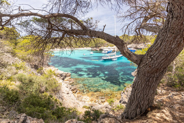 View of Turqueta beach, beautiful azure water, people sunbathing, yachts, one of the most beautiful beaches in Europe. Menorca Island in Spain