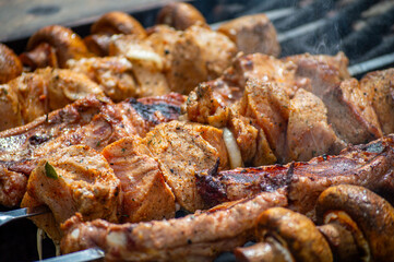 Grilled pieces of pork meat and mushrooms on metal skewers. Shashlik or shish kebab prepared on barbecue grill over hot charcoal with grilled vegetables.