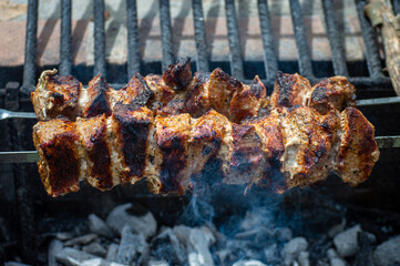 Grilled pieces of pork meat on metal skewers. Shashlik or shish kebab prepared on barbecue grill over hot charcoal with grilled vegetables.