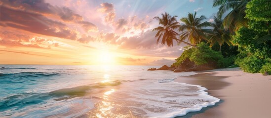Beautiful spacious view of the tropical coast with palm trees and sandy beach at sunset, concept for summer vacation, resort