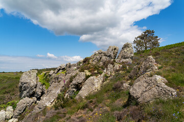 Paysage côtier de lande et rochers sur la presqu'île de Crozon au printemps : une scène pittoresque où la nature sauvage rencontre les formations rocheuses sous un ciel ensoleillé.