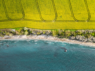 Top down landscape view of blooming rape field and next to it the blue ocean in northern Germany at...