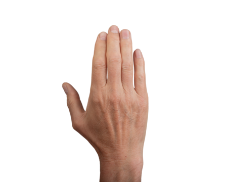 Male hand with manicured nails, raised in a gesture of hello or goodbye. Isolated on a white background, showing the dorsal side. Ideal for communication and anatomy concepts., transparent PNG