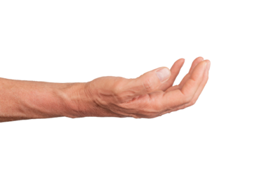 Open palm hand in a cup shape, isolated on white background. Gesture indicating offering or presenting, ideal for support and gift concepts. Close up view showing detail., transparent PNG