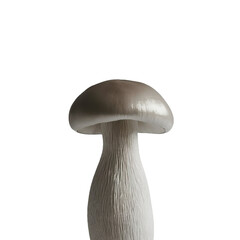 TRANSPARENT PNG ULTRA HD 8K Single whole mushroom on a transparent background, its smooth cap and sturdy stem emphasizing its solid form