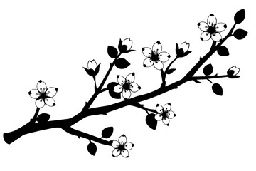 cherry blossom flower silhouette vector illustration