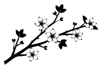 cherry blossom flower silhouette vector illustration