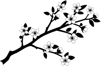 cherry blossom flower silhouette vector illustration