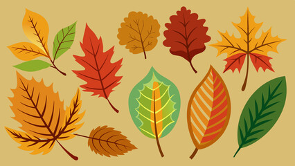 Autumn Fall Leaf set