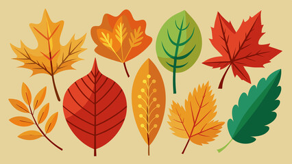 Obraz premium Autumn Fall Leaf set