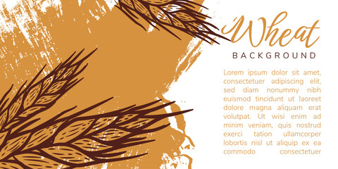 abstract Horizontal background border with hand drawn spikelets of wheat in sketch vector illustration isolated on white. Ears of wheat for decoration, packaging design of bakery in gold, white brown