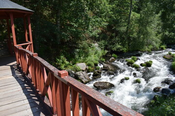 puente