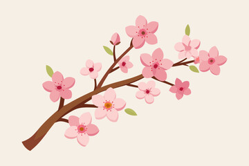 cherry blossom flower vector illustration