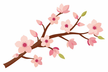 cherry blossom flower vector illustration