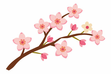 cherry blossom flower vector illustration