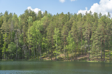 green lake water with green trees on the shore and blue sky