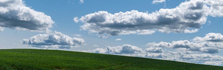 green crops, cloudy skies, rural landscape