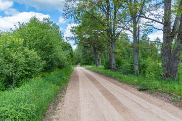a country road stretching into the distance with grass and shrubs on the sides of the road