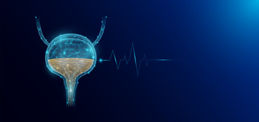 Bladder human organ anatomy in form style polygon low poly futuristic and pulse wave glowing. Medical science template banner with empty space for text. Vector EPS10 illustration.