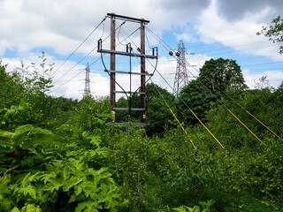 Wooden electrical pole in a lush green forest with power lines extending to distant pylons.