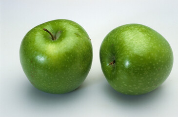 Malus communis 'Grany' , Pommier