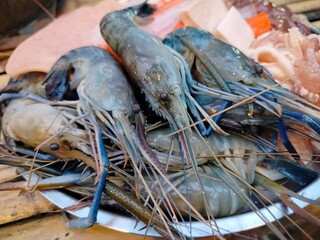 Shrimp in market