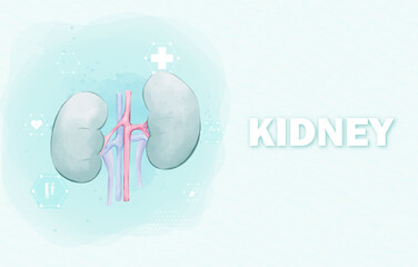 Medical infographic of kidney background. Abstract background style watercolor. Medical care for the hospital, page. Vector illustration