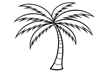 palm vector silhouette illustration