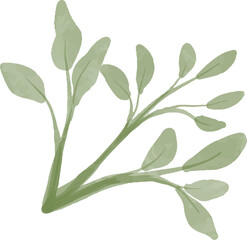 branches and leaves watercolor