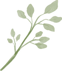 branches and leaves watercolor