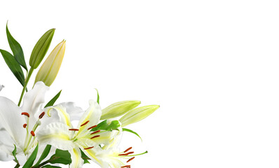 Bouquet of white lily flowers on corner border, cut out transparent background