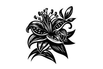Lili Flower Vectors