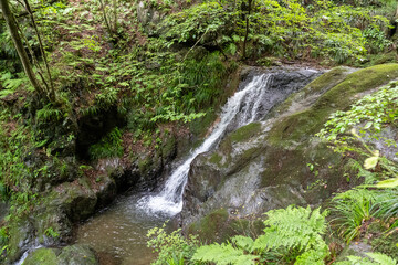 A view of the mountain trail of Bounooreyama going up from Shiratanisawa Ascent from the Shiratanisawa Ascent Yamaguchi