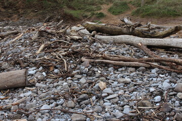 A photograph of driftwood on a pebbly beach