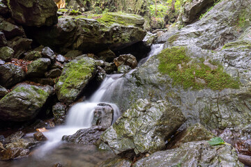 A view of the mountain trail of Bounooreyama going up from Shiratanisawa Ascent from the Shiratanisawa Ascent Yamaguchi