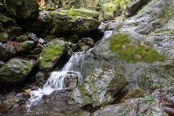A view of the mountain trail of Bounooreyama going up from Shiratanisawa Ascent from the Shiratanisawa Ascent Yamaguchi