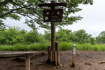 A view of the mountain trail of Bounooreyama going up from Shiratanisawa Ascent from the...