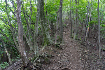 View of the trail from Mt. Bonno-ori via Mt. Kuroyama, Mt. Iwatakeishi, and Mt. Sodake