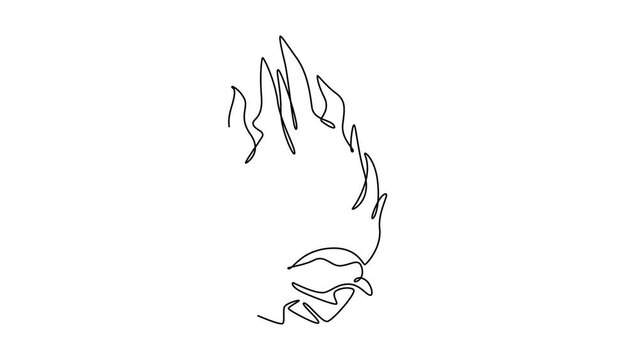 Animated self drawing of continuous line draw of whole healthy organic sweet red dragon fruit for orchard logo identity. Fresh dragonfruit concept for fruit garden icon. Full length one line animation