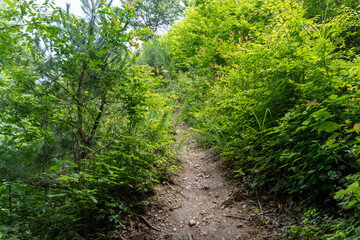 View of the trail from Mt. Bonno-ori via Mt. Kuroyama, Mt. Iwatakeishi, and Mt. Sodake