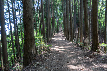 View of the trail from Mt. Bonno-ori via Mt. Kuroyama, Mt. Iwatakeishi, and Mt. Sodake