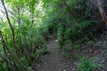 View of the trail from Mt. Bonno-ori via Mt. Kuroyama, Mt. Iwatakeishi, and Mt. Sodake