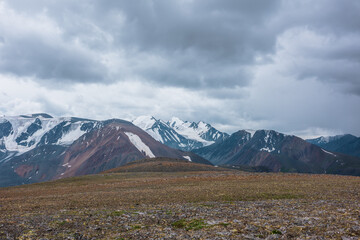 Dramatic view from stony pass with mosses, grasses and flowers to large mountain range with snow-capped pinnacle in gray cloudy sky. Atmospheric silhouettes of big snowy mountains in rainy weather.