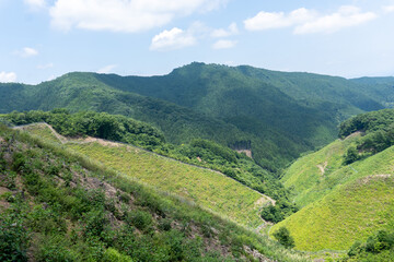 Obraz premium View of the trail from Mt. Bonno-ori via Mt. Kuroyama, Mt. Iwatakeishi, and Mt. Sodake