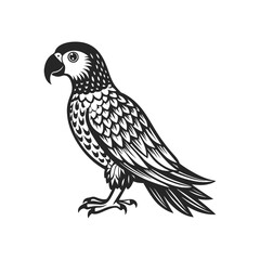 Tropical parrot bird. Black silhouette on a white background. Engraving, tattoo. Illustration