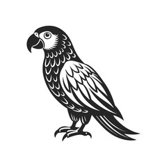 Tropical parrot bird. Black silhouette on a white background. Engraving, tattoo. Illustration