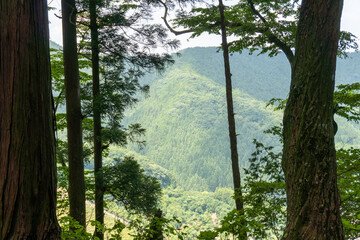 Naklejka premium View of the trail from Mt. Bonno-ori via Mt. Kuroyama, Mt. Iwatakeishi, and Mt. Sodake