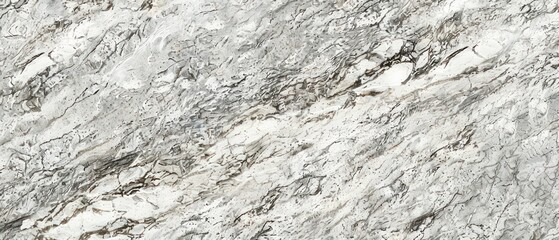 Silver granite interwoven with light grey streaks, offering a sleek and elegant stone finish