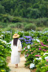 Beautiful woman walk in Hydrangea flower farm garden