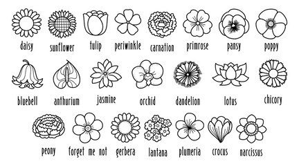 Collection of hand drawn flowers outlines with name labels, black and white elements for educational and project ornaments, vector and illustration.